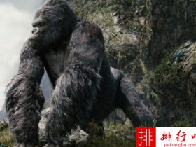 中国内地票房排行榜 《战狼2》以56亿票房占据第一