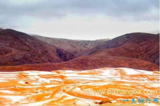 世界最热的沙漠 撒哈拉沙漠下雪了