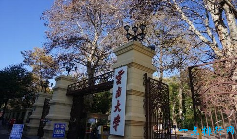 2018云南大学排名 云南有哪些大学