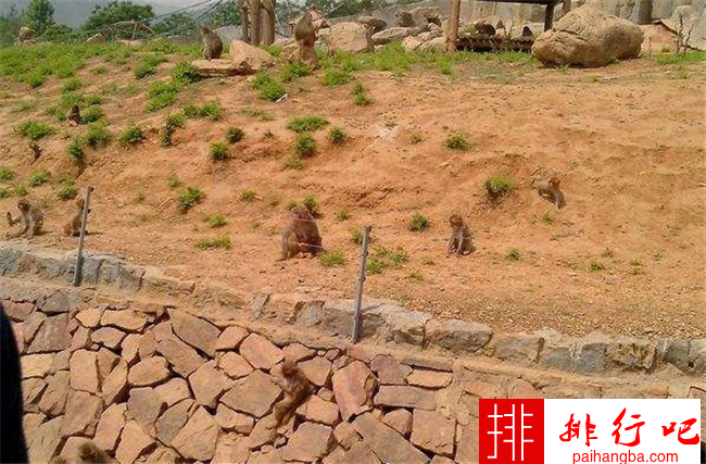 中国最缺水的城市排名 武威人一生只洗三次澡