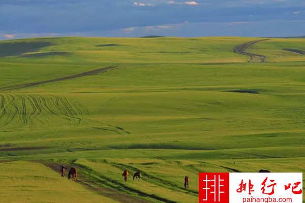 中国最大的草原 呼伦贝尔草原面积约一亿四千九百万亩